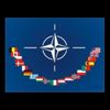 NATO'nun İstanbul'da toplanması engellendi NATO'nun İstanbul'da toplanması engellendi