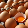 Yumurtanın sarısı böyleyse dikkat
