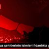 15 Temmuz şehitlerinin isimleri fidanlıkta yaşatılıyor