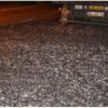 15 ton hamsi yollara saçıldı