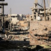 Kobani'de hayatta kalmak Kobani'de hayatta kalmak