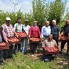 Japon eriğinde girdi fiyatları düşürülsün talebi