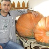 Yenişehirli çiftçiye bal kabağı önerisi Yenişehirli çiftçiye bal kabağı önerisi