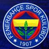 Fenerbahçe Sinisa Mihajlovic'i yalanladı Fenerbahçe Sinisa Mihajlovic'i yalanladı
