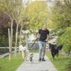 Köpek Seçiminde Nelere Dikkat Etmeliyiz?