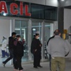 Aydın'da domuz gribi şüphesi Aydın'da domuz gribi şüphesi