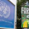FARC militanları topluma adapte edilecek!