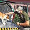 Çekmeköy de sahibinin şiddet uyguladığı köpek koruma ... Çekmeköy de sahibinin şiddet uyguladığı köpek koruma ...