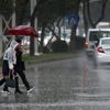 Meteoroloji'den sağanak ve kuvvetli rüzgar uyarısı