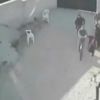 İngiliz polisinden kuğu operasyonu