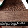 Uluslararası Kızılhaç ve Kızılay Dernekleri Federasyonunda ... Uluslararası Kızılhaç ve Kızılay Dernekleri Federasyonunda ...