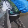 4 kişi çöken köprüden aşağıya düştü 4 kişi çöken köprüden aşağıya düştü