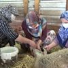 Aniden fenalaşıp yere düşüyorlar Aniden fenalaşıp yere düşüyorlar