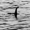 Loch Ness canavarının sırrı çözüldü