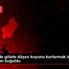 Kırıkkale de gölete düşen koyunu kurtarmak için suya ...