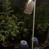 Daireyi Esrar Serasına Çevirmiş! Daireyi Esrar Serasına Çevirmiş!