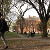 Harvard Üniversitesi'nde bomba alarmı