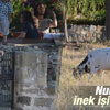 Nurgül Yeşilçay'ın çiftliği Nurgül Yeşilçay'ın çiftliği