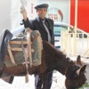 Bağımsız milletvekili adayı eşekle dolaşıp oy istiyor
