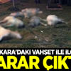 Ankara'daki vahşet ile ilgili karar çıktı!