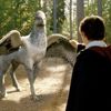 'Harry Potter' filmlerinde gösterilmeyen 10 yaratık 'Harry Potter' filmlerinde gösterilmeyen 10 yaratık