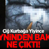 Çiğ Kurbağa Yiyince Beyninden Bakın Ne Çıktı! Çiğ Kurbağa Yiyince Beyninden Bakın Ne Çıktı!
