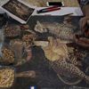 Zeugma'dan etkilenenler mozaik kursuna