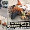 Yılbaşında binlerce hindi kesilmeyi bekliyor Yılbaşında binlerce hindi kesilmeyi bekliyor