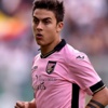 Palermo'nun yıldızı PSG yolcusu Palermo'nun yıldızı PSG yolcusu