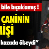 Bitlis’te 1 PKK’lı teslim oldu, mühimmat ele geçirildi