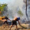 Manavgat'ta orman yangını Manavgat'ta orman yangını
