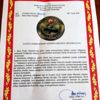 TSK dan öğrencilere teşekkür belgesi TSK dan öğrencilere teşekkür belgesi
