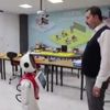 Erdoğan o büyükelçileri göndermek istiyor Erdoğan o büyükelçileri göndermek istiyor