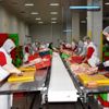Malatya da tavuk fabrikasından, yıllık 50 milyon dolarlık ...