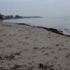 Tüfekli saldırgan ayağından vuruldu Tüfekli saldırgan ayağından vuruldu
