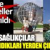 ﻿Artık sağlıkçılar saklandıkları yerlerden çıkabilir. Ucube heykeller kaldırıldı