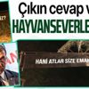 Adalar'da hayvanseverler İBB'ye kayıp atların akıbetini soran tepki pankartları astı! Hani atlar size emanetti?