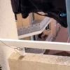 Köpeğini vahşice döven kadın kamerada