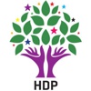 HDP: Partimiz koşulsuz destekleyecek' HDP: Partimiz koşulsuz destekleyecek'