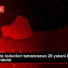 Şanlıurfa da tedavileri tamamlanan 25 yabani kuş doğaya ...