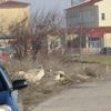 Edirne cezaevinde mahkum yangın çıkardı Edirne cezaevinde mahkum yangın çıkardı