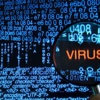 Casus virüs Casus virüs