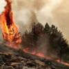Elazığ’da orman yangını: Çok sayıda ekip bölgede