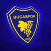 3 yaralı da Bucasporlu çıktı 3 yaralı da Bucasporlu çıktı