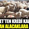 ﻿Diyanet'ten kredi kartı ile kurban alacaklara uyarı