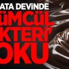 Çikolata devinde 'ölümcül bakteri' şoku Çikolata devinde 'ölümcül bakteri' şoku