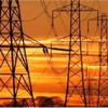 Ayçiçeği elektrik üretiminde de kullanılacak