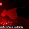 Gaziantep te fıstık hırsızı tutuklandı Gaziantep te fıstık hırsızı tutuklandı
