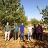 Eğil de badem hasadı başladı