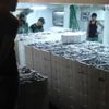 Bir tekneyle 2 saatte 1250 kasa sardalya avlandı